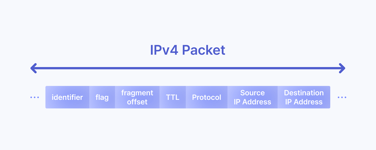 IPv4 패킷